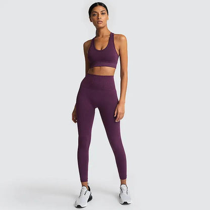 Seamless Gym Set Nylon Woman Sportswear - Dlivs