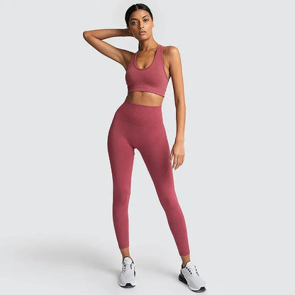 Seamless Gym Set Nylon Woman Sportswear - Dlivs
