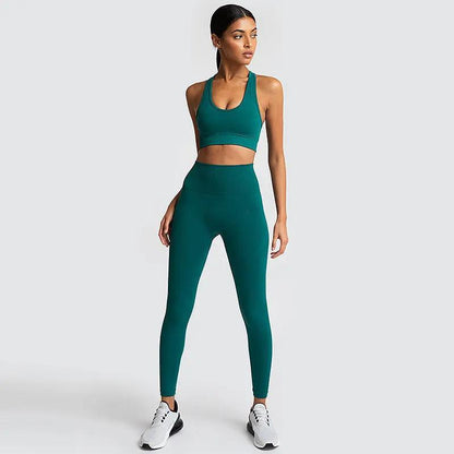 Seamless Gym Set Nylon Woman Sportswear - Dlivs